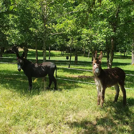 Domaine Du Bois Noir